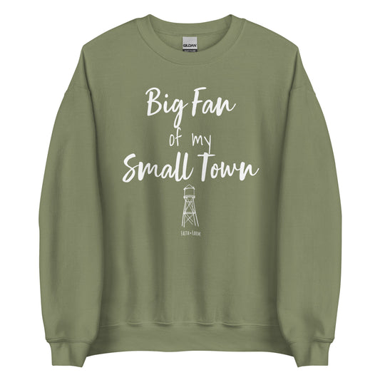 Big Fan Of My Small Town Sweatshirt